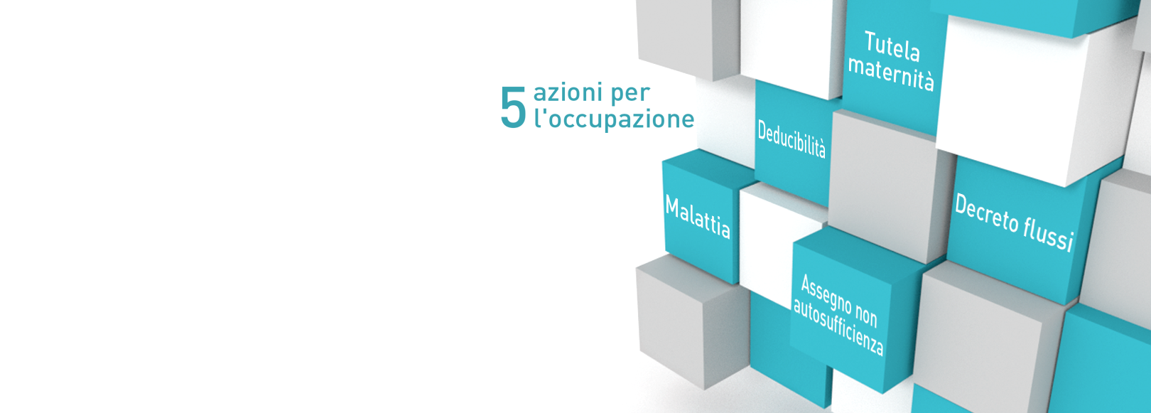 Favorire l’equilibrio dell’occupazione nel settore del lavoro domestico Cinque azioni per l'occupazione