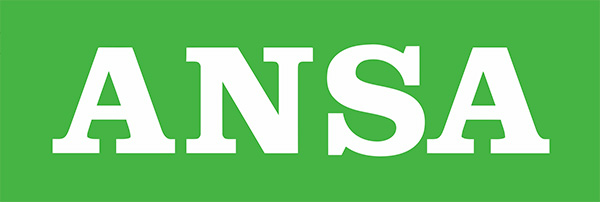 Ansa